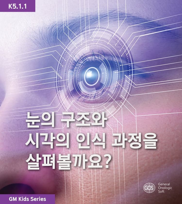 눈의 구조와 시각의 인식 과정을 살펴볼까요?