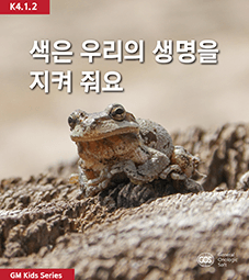 숫자가 없던 시절의 셈법